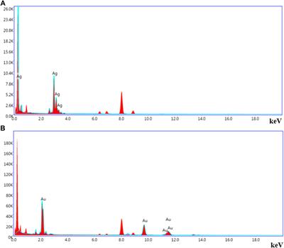 Leucophyllum frutescens mediated synthesis of silver and gold nanoparticles for catalytic dye degradation